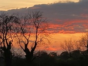 28th Apr 2022 - Sunset, trees