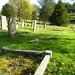 pheasant in a churchyard