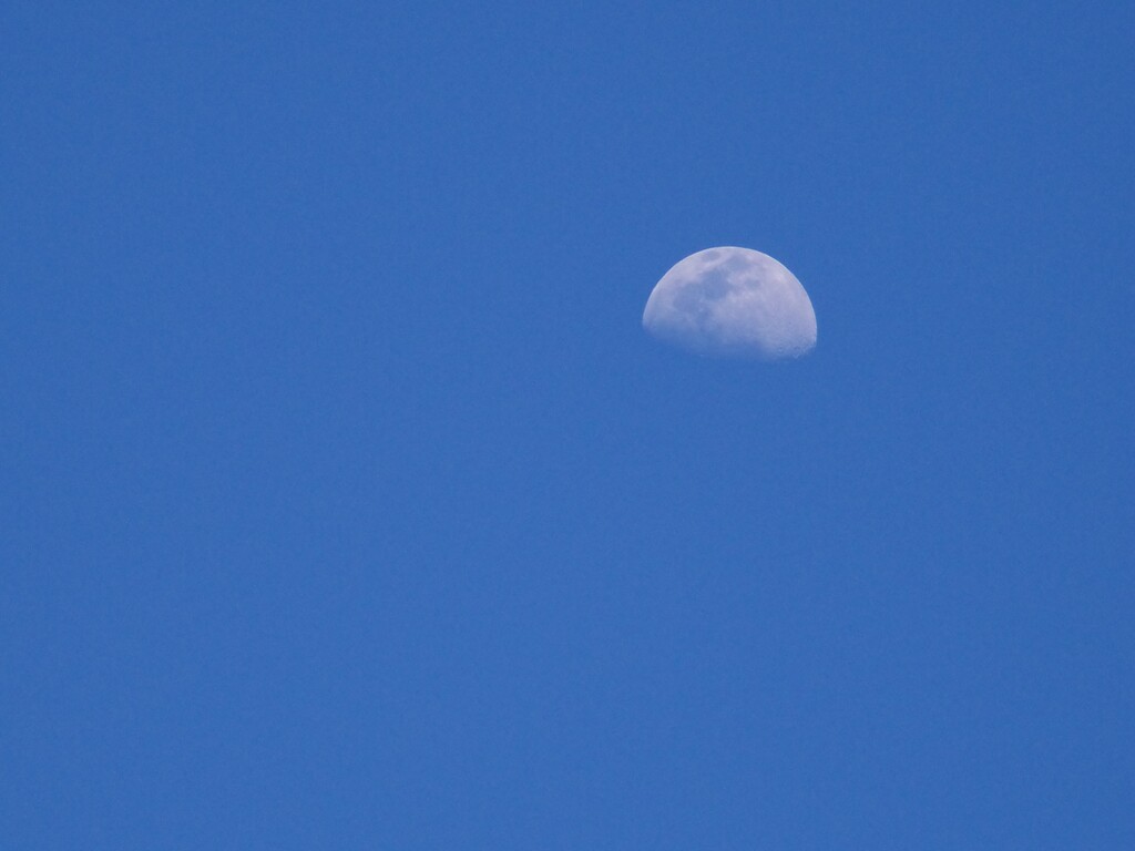 Late morning moon... by marlboromaam