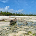Ngalawa and low tide.  by cocobella