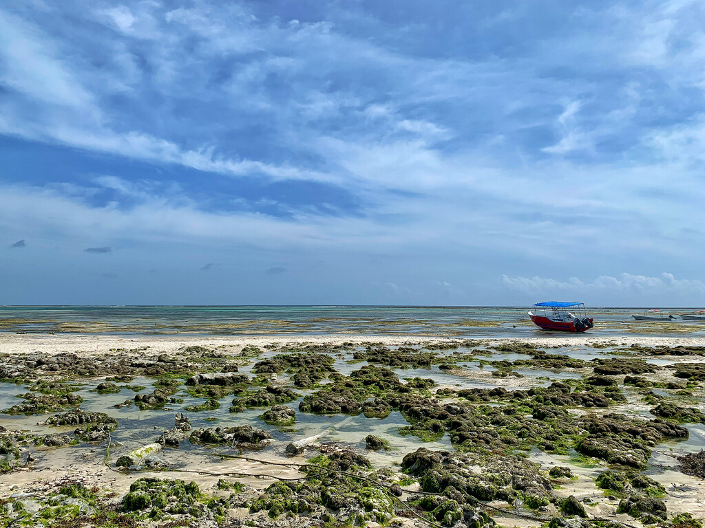 Boat and low tide.  by cocobella