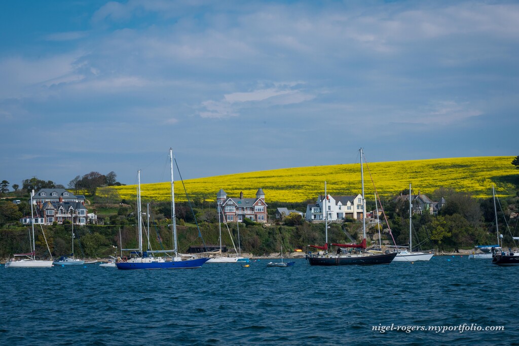 Sailing to St Mawes by nigelrogers