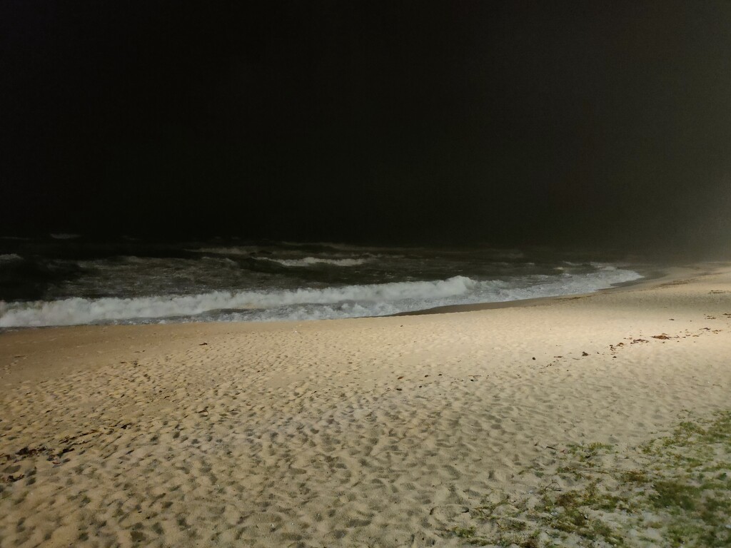 Beach at night by belucha