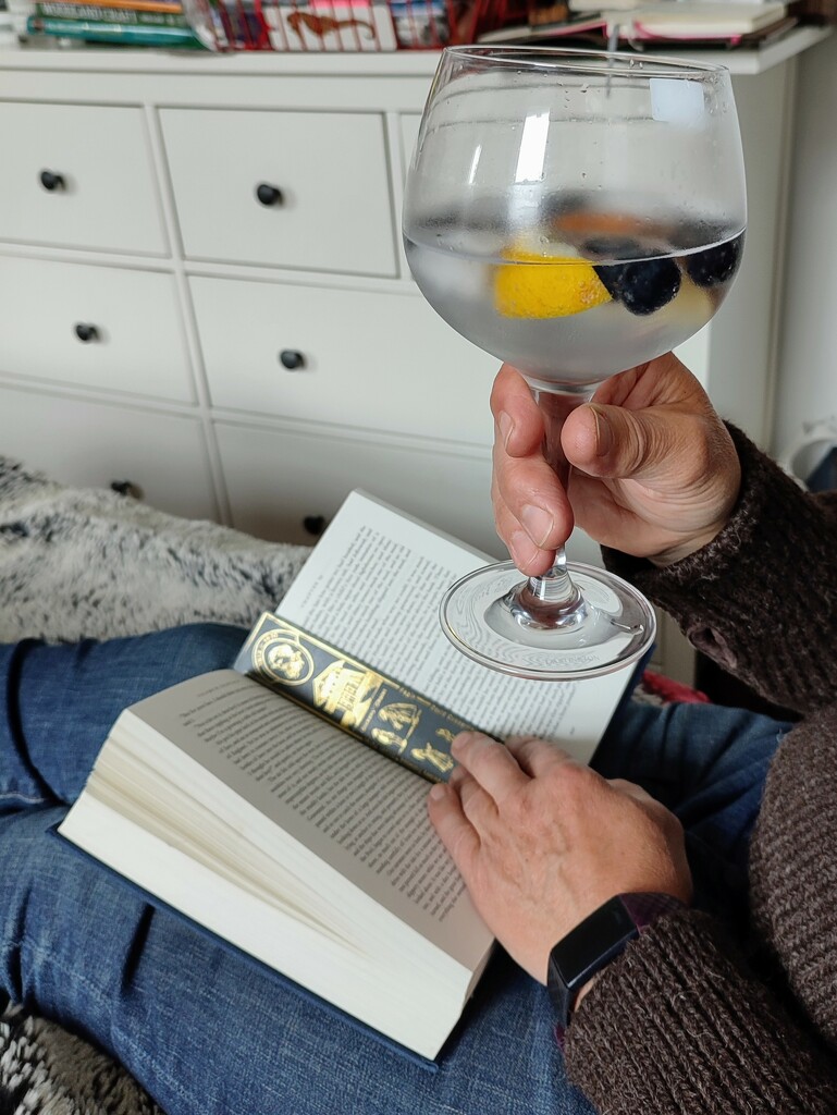 Gin and Dickens  by boxplayer