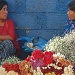 Flower Ladies, Coban by miranda