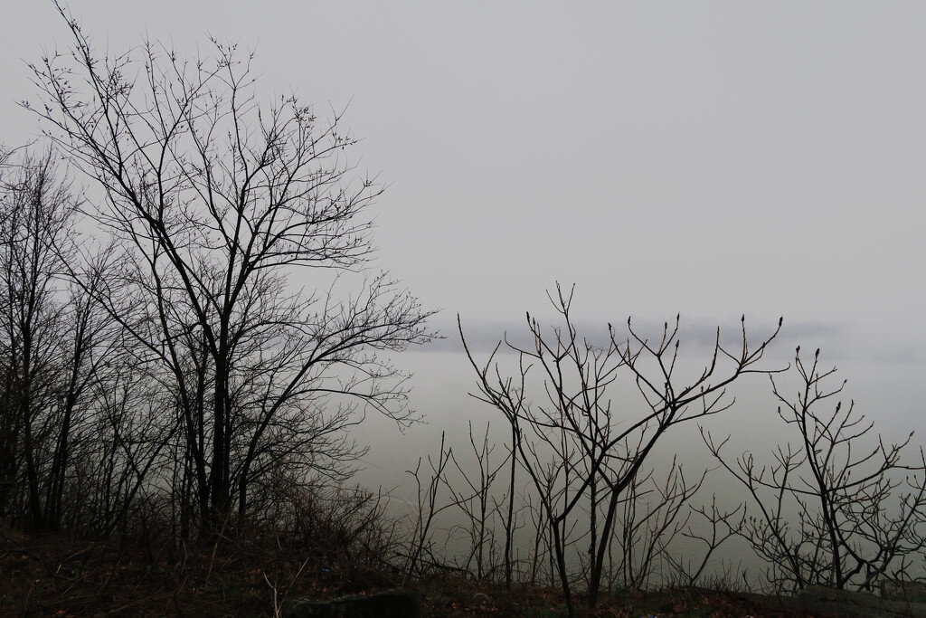 Foggy Day on the Hudson River by april16