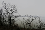 25th Mar 2022 - Foggy Day on the Hudson River