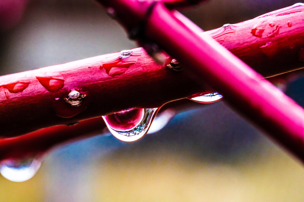 Raindrops ii by tosee
