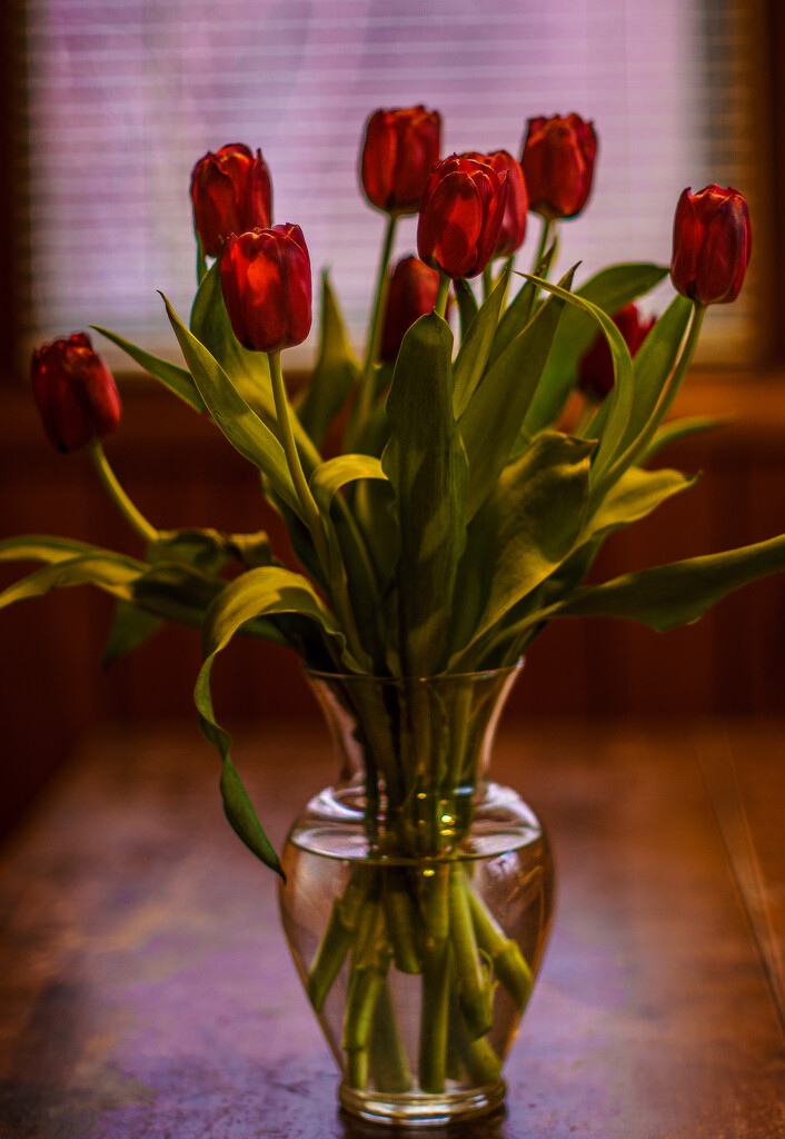 Vase and Tulips by tosee