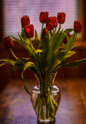 24th Apr 2022 - Vase and Tulips