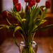 Vase and Tulips by tosee