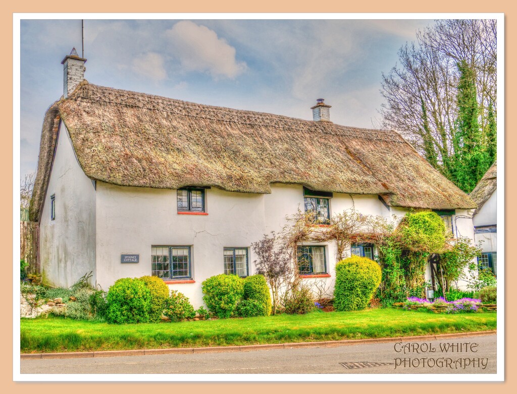 Spinney Cottage,Coton by carolmw