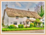 28th Apr 2022 - Spinney Cottage,Coton