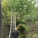 Tree Maintenance - I could do with this ladder! by elainepenney