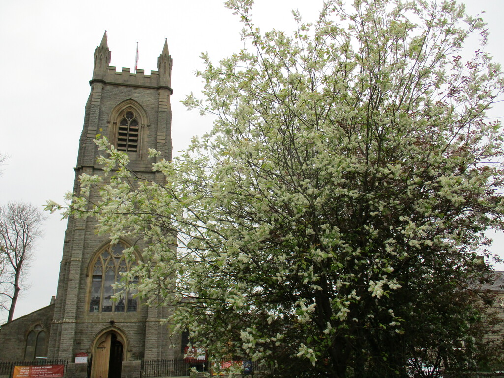 Parish Church and beautiful blossoms. by grace55