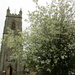 Parish Church and beautiful blossoms. by grace55