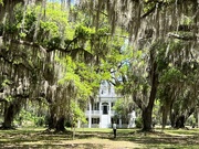 28th Apr 2022 - Live oaks and 1828 plantation home, South Carolina