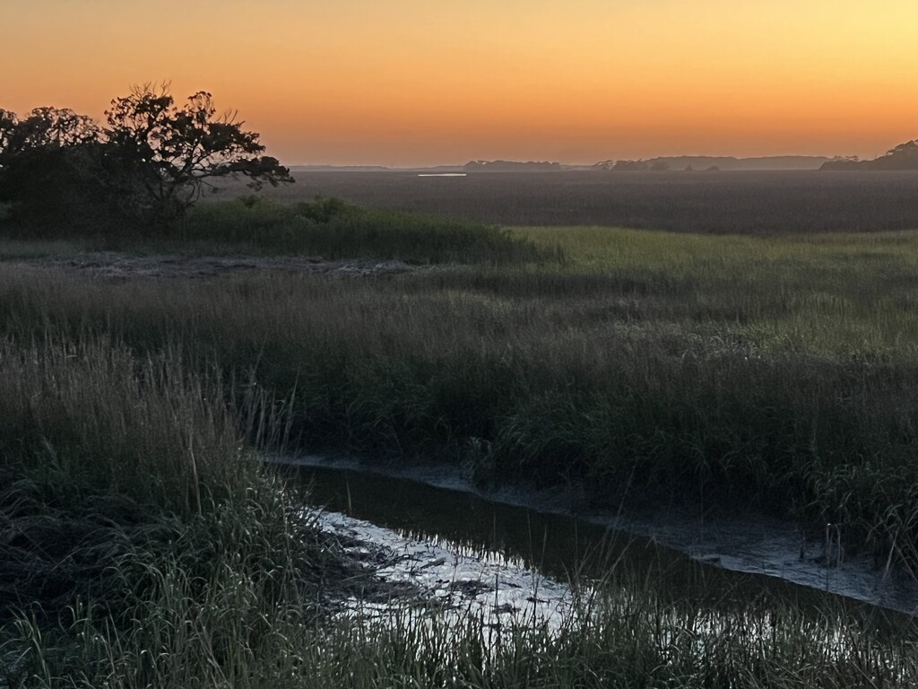 Atmospheric marsh sunset by congaree