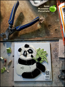 27th Apr 2022 - The making of the Panda mosaic