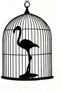 28th Apr 2022 - flamingo in a cage