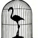 flamingo in a cage by summerfield
