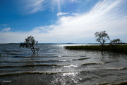 29th Apr 2022 - Lake Burrumbeet