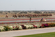 29th Apr 2022 - Royal Camel Corps Band 