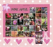 3rd Apr 2022 - Pink April
