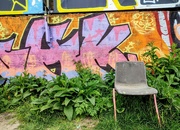 29th Apr 2022 - Sitting among the graffiti 