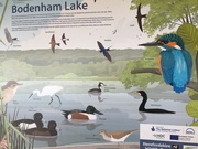 29th Apr 2022 - Bode ham lakes bird sanctuary- but none willing to be photographed today!