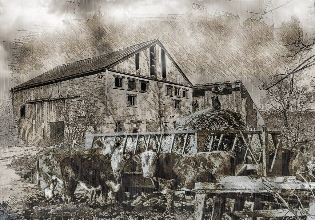 Bessie's Barn has Seen Better Days by olivetreeann