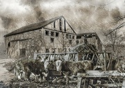 21st Apr 2022 - Bessie's Barn has Seen Better Days