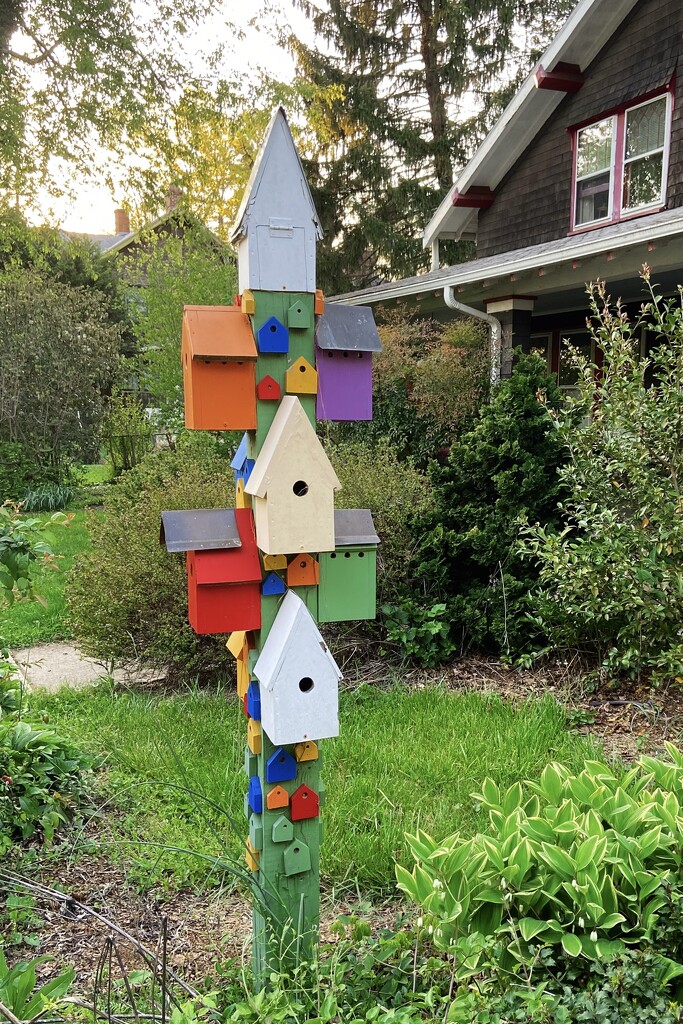 Birdhouse Complex by 365canupp