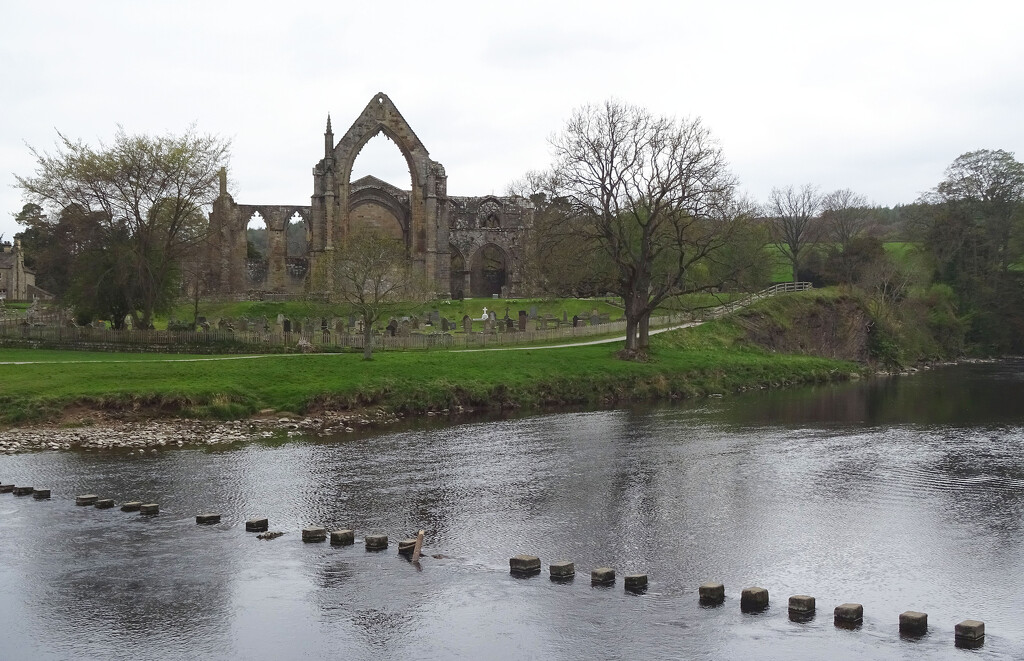 Bolton Abbey, Yorkshire Dales National Park by marianj