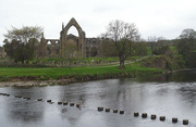 28th Apr 2022 - Bolton Abbey, Yorkshire Dales National Park
