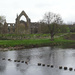Bolton Abbey, Yorkshire Dales National Park by marianj