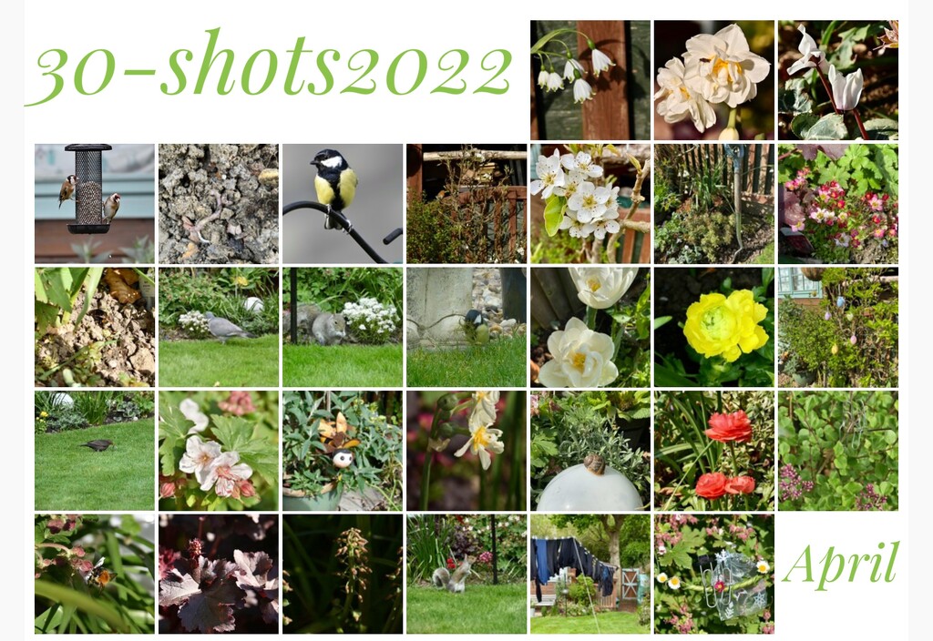 30 Garden shots by wakelys