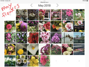 3rd May 2022 - May Flowers Challenge 2018