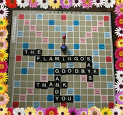 30th Apr 2022 - the flamingo says goodbye and thank you