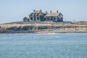 30th Apr 2022 - Ano Nuevo-Light house keepers residence, now home to Cormorants and Elephant Seals