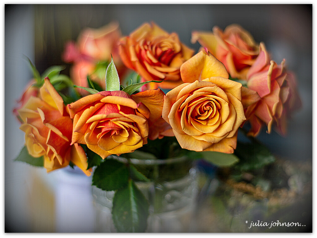 Orange Roses... by julzmaioro