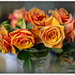 Orange Roses... by julzmaioro