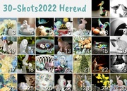 1st May 2022 - A month of Herend critters