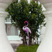 Friday Framed Flamingo Forgotten then Found  by 30pics4jackiesdiamond