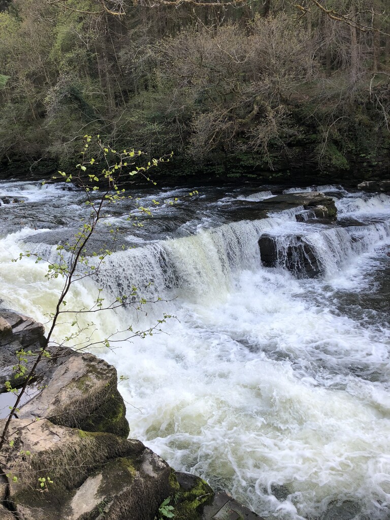 Clyde Falls, Lanark by crewnelson