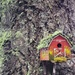 Weathered Birdhouse by kimmer50