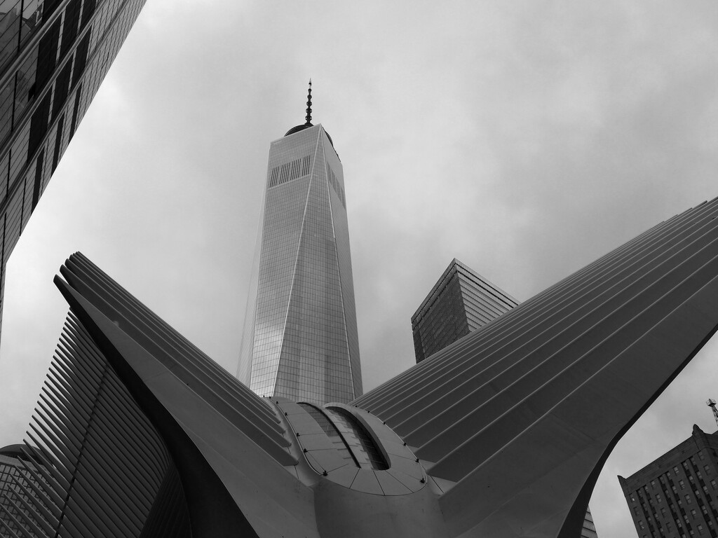 10 World Trade Center and Oculus BW by olivetreeann