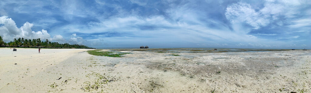 Bwejuu beach panorama.  by cocobella