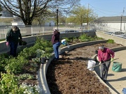 30th Apr 2022 - Master gardeners at work