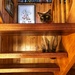 Cat on the stairs by pusspup